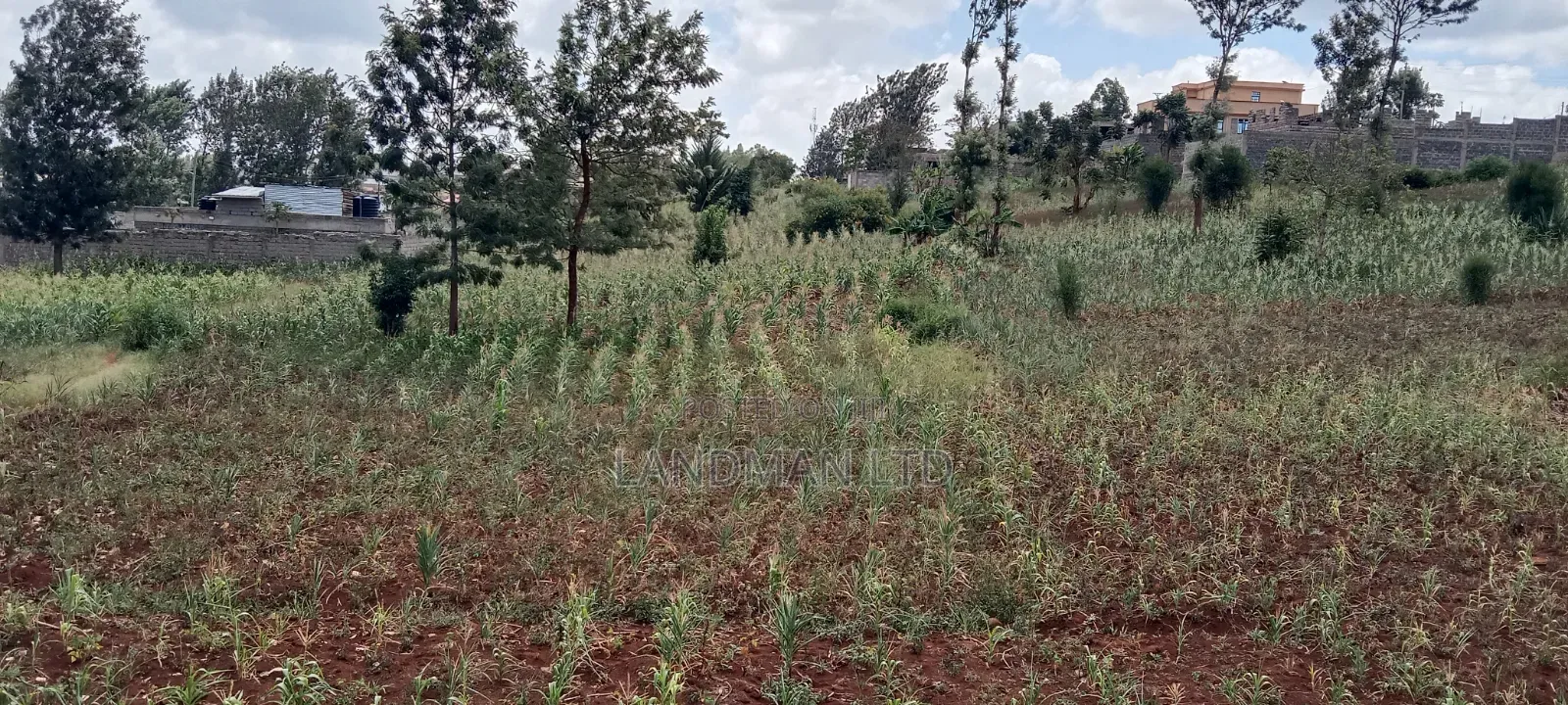 Kenol-Gathanje Estate Plot in Makuyu