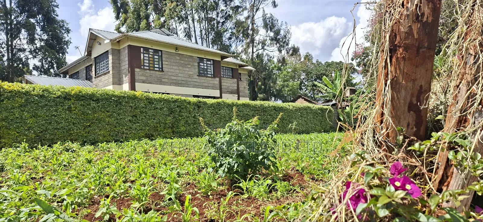 Prime Residential Plot for Sale – Kikuyu (Ondiri) in Karai