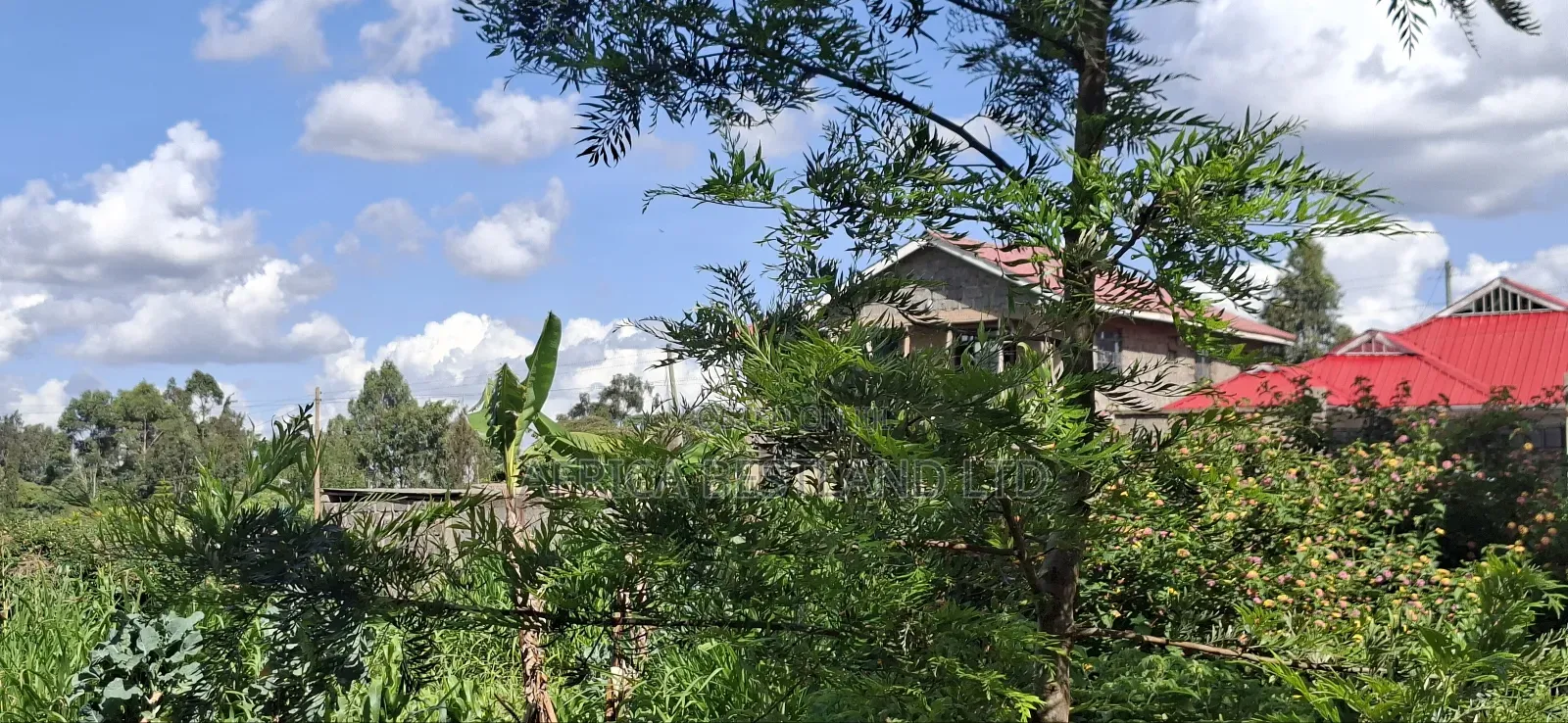 100x100 Residential Plot for Sale in Gikambura (Rio Nderi) – KSH 6.7m in Karai