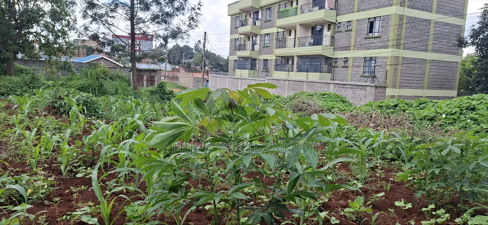 Prime 100x100 Plot for Sale – Kabete, Gathiga in Gathiga