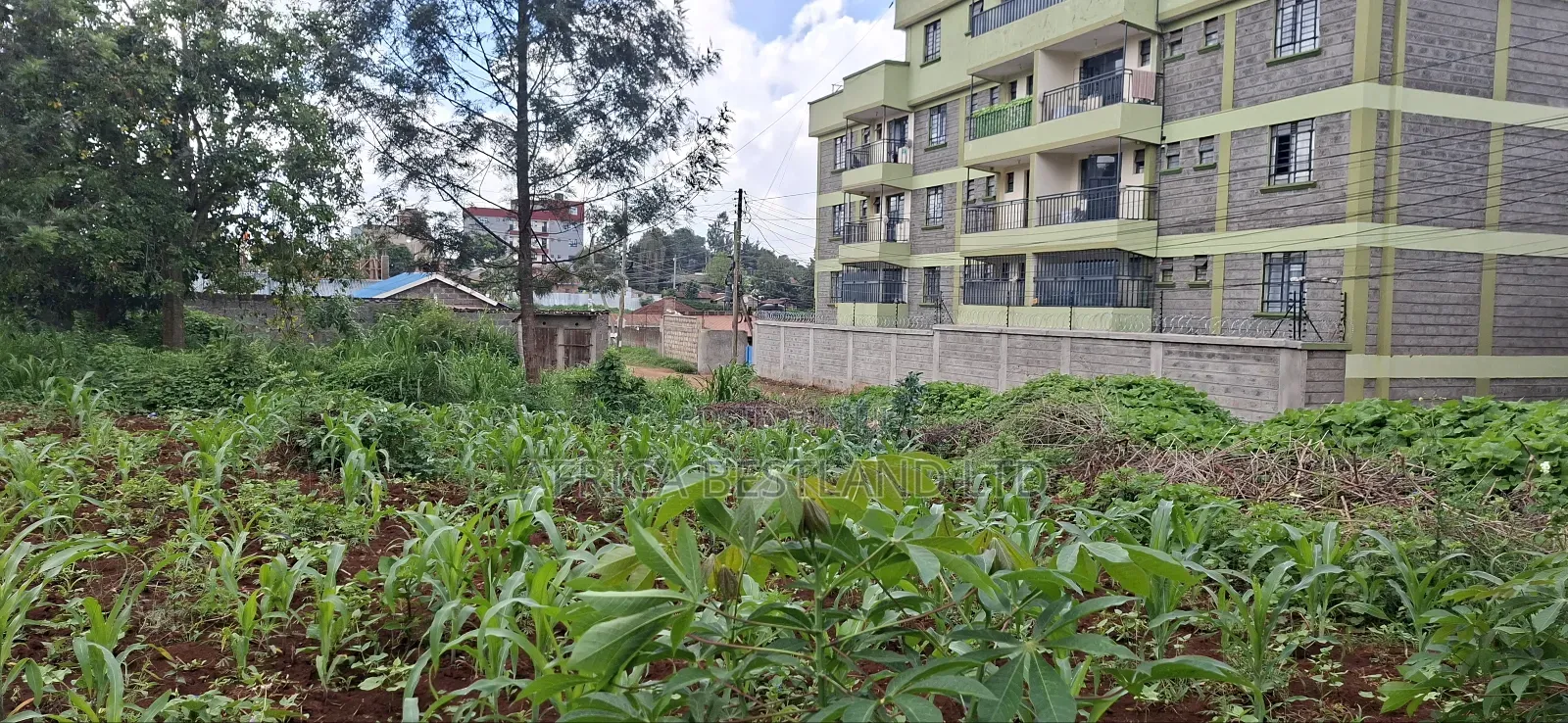 Prime 100x100 Plot for Sale – Kabete, Gathiga in Gathiga