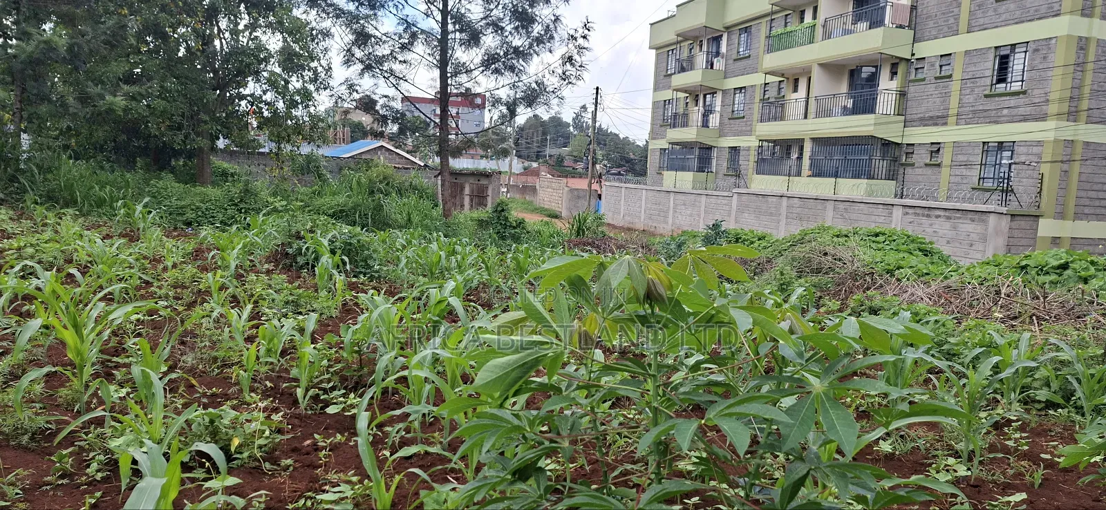 Prime 100x100 Plot for Sale – Kabete, Gathiga in Gathiga