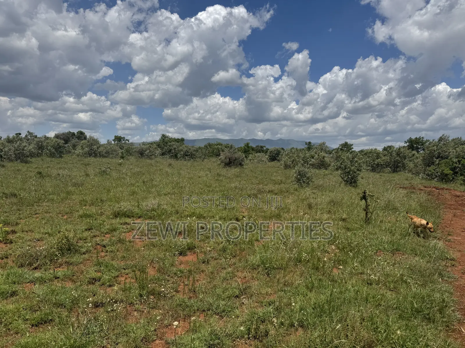 1/8 Acre Maroroi in Kibiku