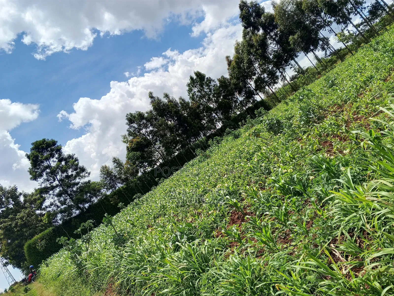 1 Acre Ndeiya Loyal Prime for Residential in Ndeiya