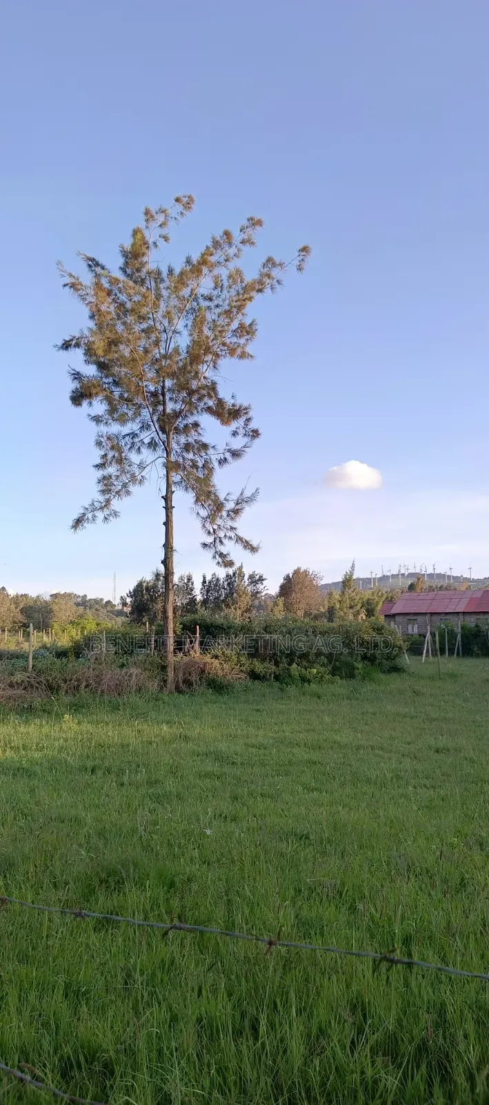 50*100 Plot for Sale in Ngong Maragara Road in Ngong