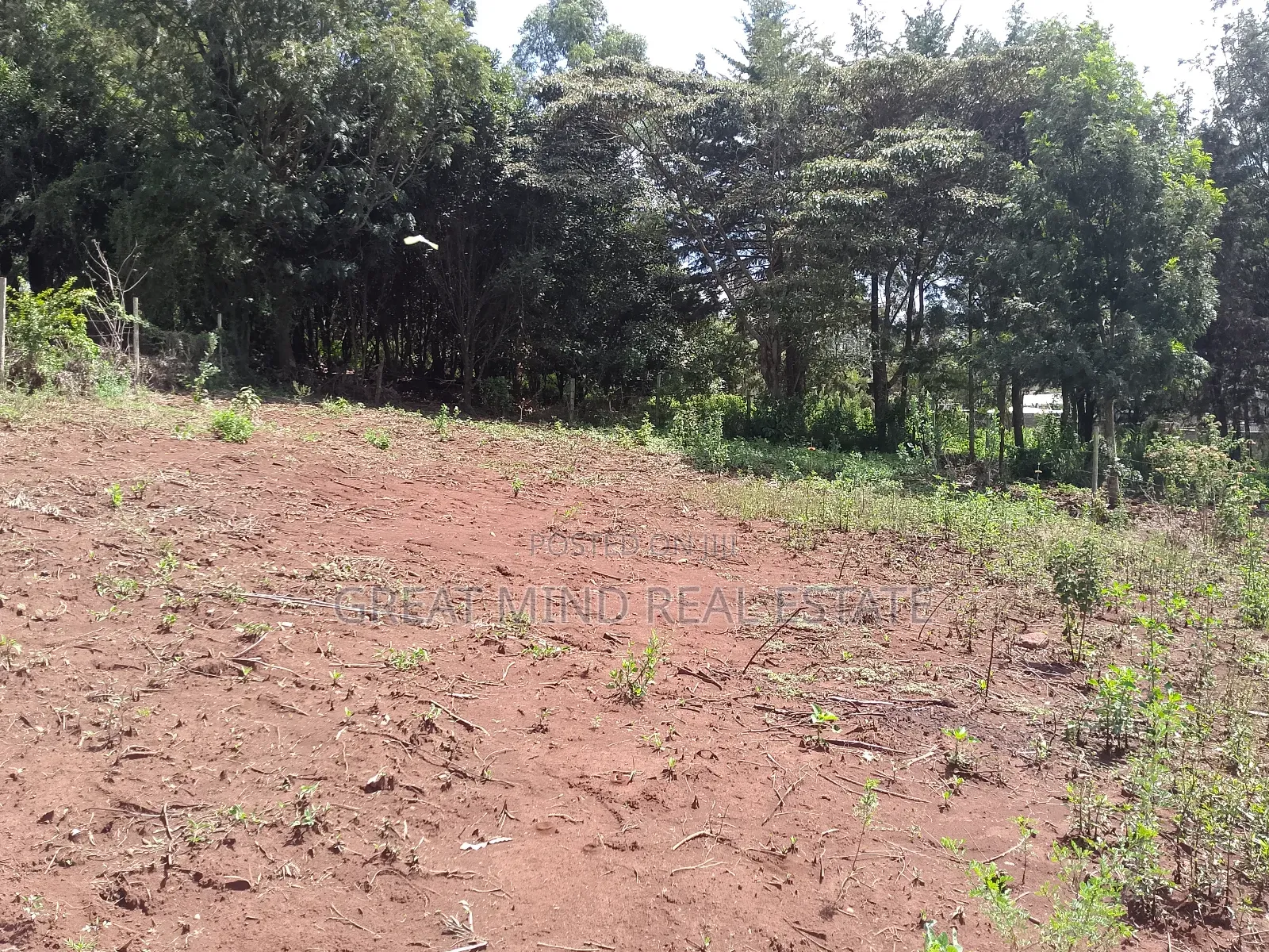Plots on Sale in Kibiku