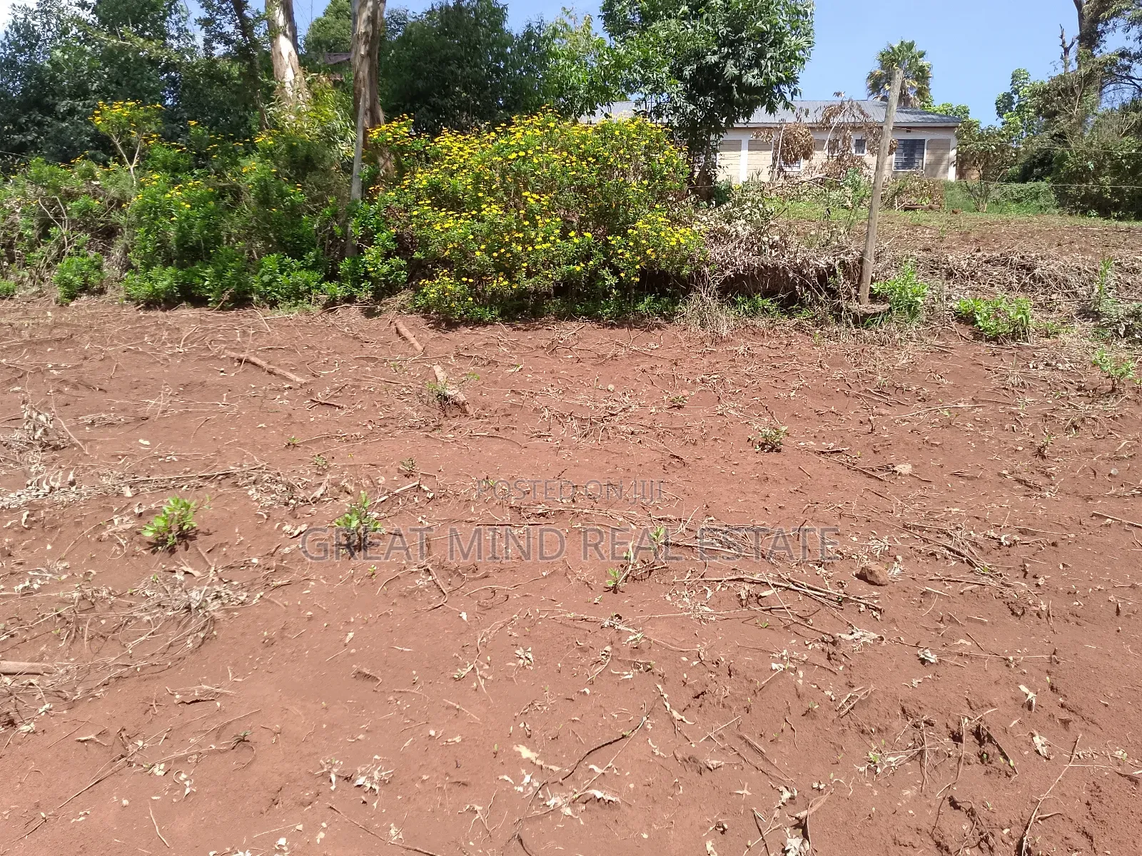 Plots on Sale in Kibiku