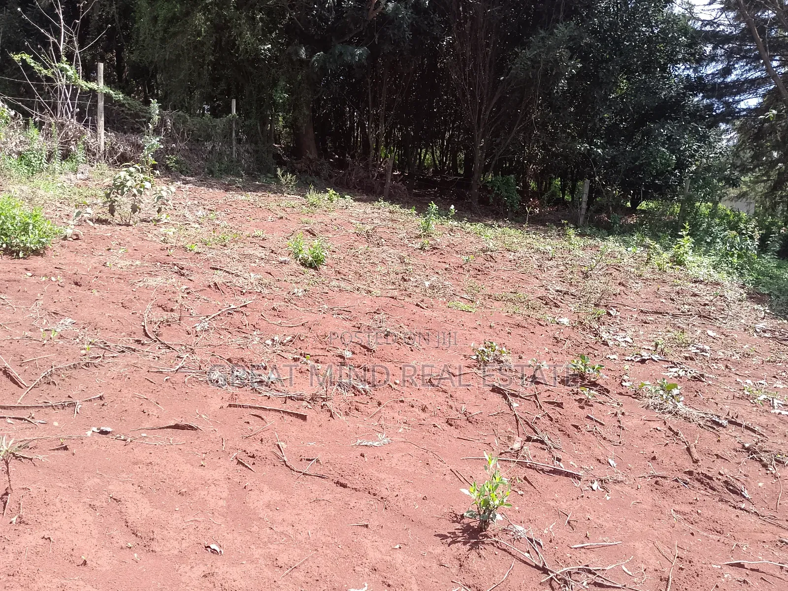 Plots on Sale in Kibiku