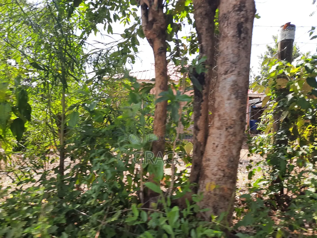 Ready-to-Build 1/8th Acre Plots in Mwea Karaba in Mwea