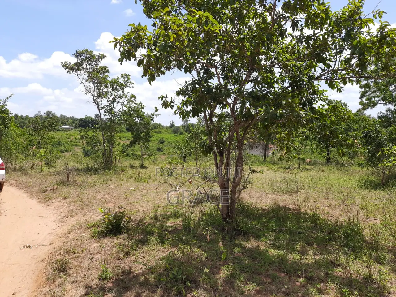 Ready-to-Build 1/8th Acre Plots in Mwea Karaba in Mwea