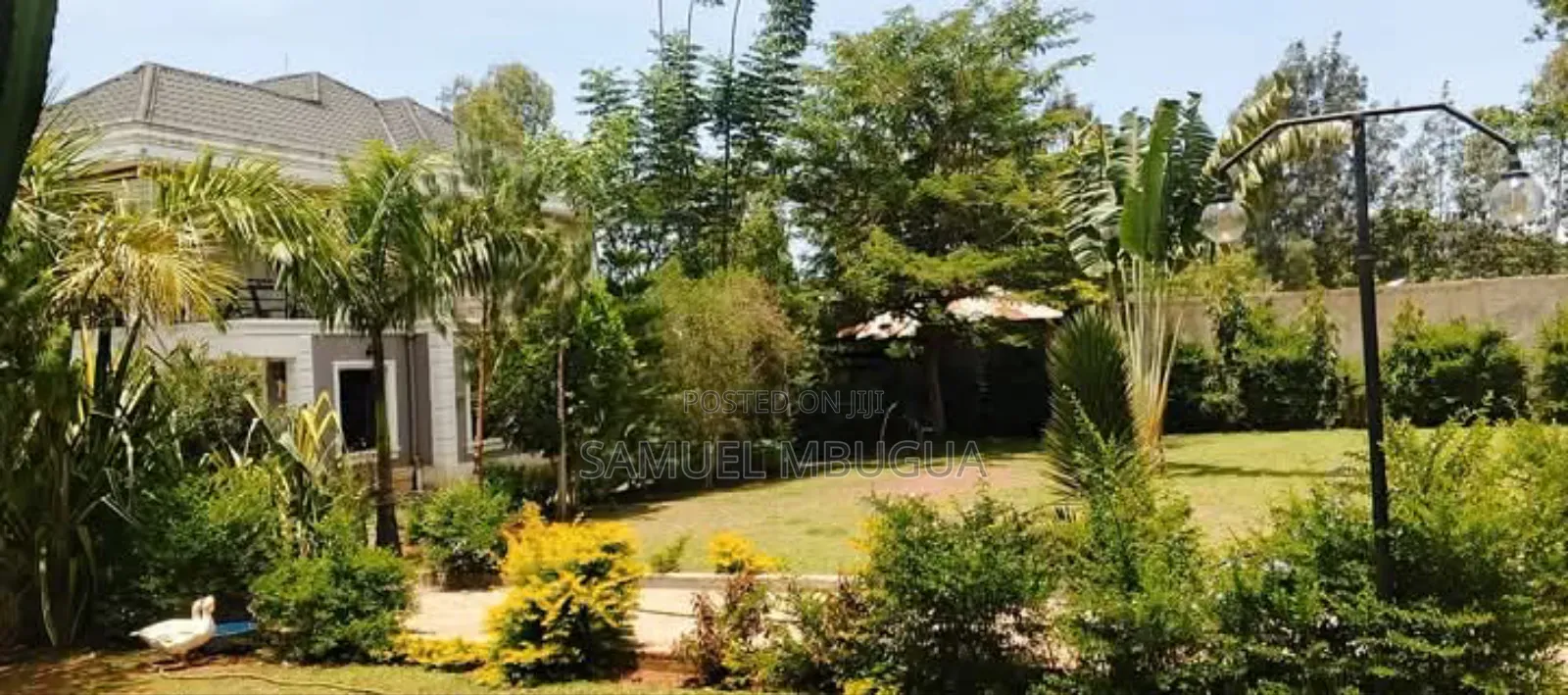 5bdrm House in Hardy for rent in Hardy