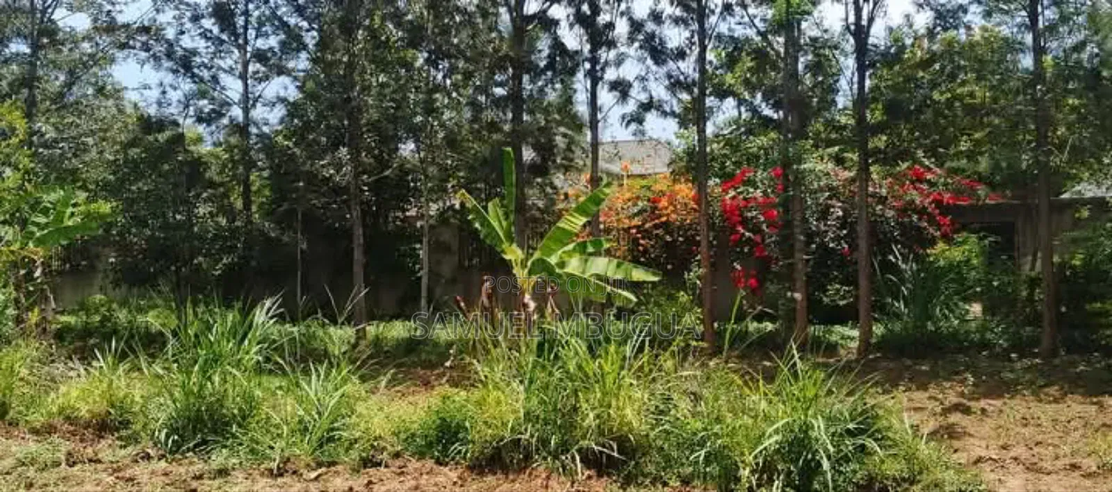 5bdrm House in Hardy for rent in Hardy