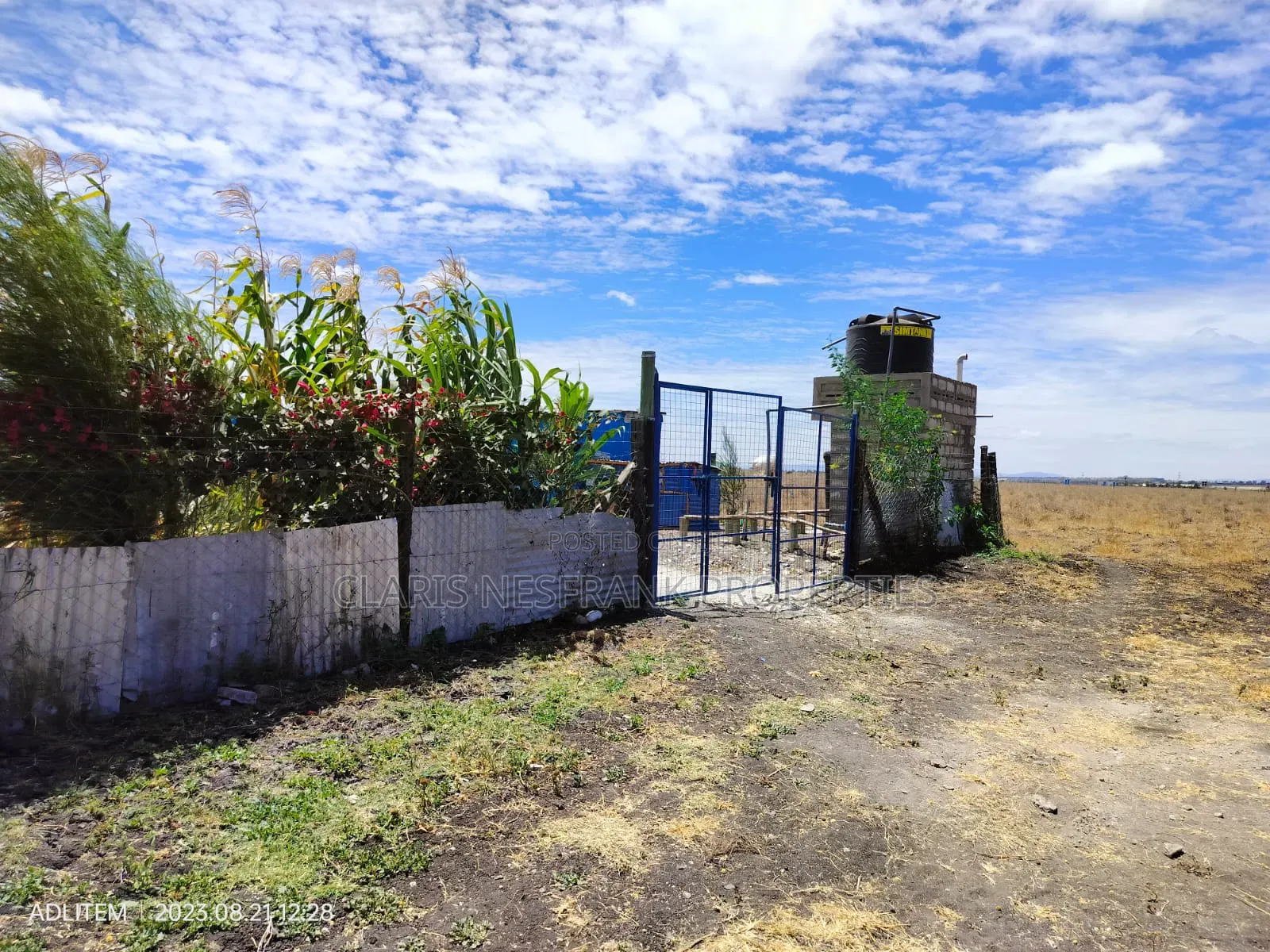 Ready Title 50x100 Isinya Plots At in Isinya