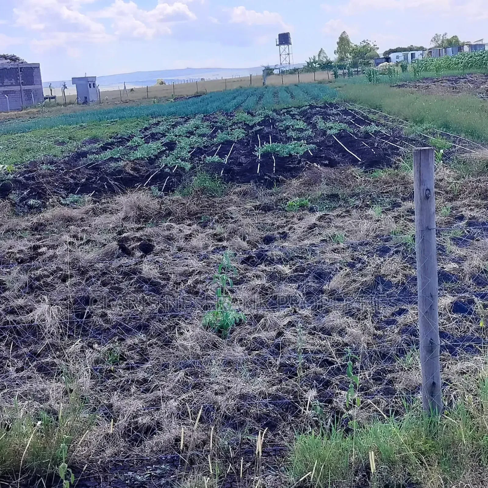 Ready Title 50x100 Isinya Plots At in Isinya
