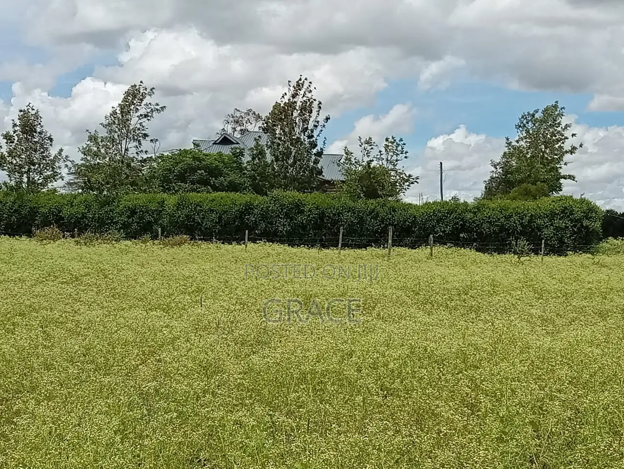 Prime Residential Plots for Sale in Kisaju – Near Mua University in Kisaju