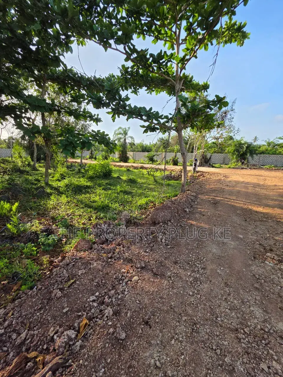 50 By 100 Plots For Sale In Diani in Diani