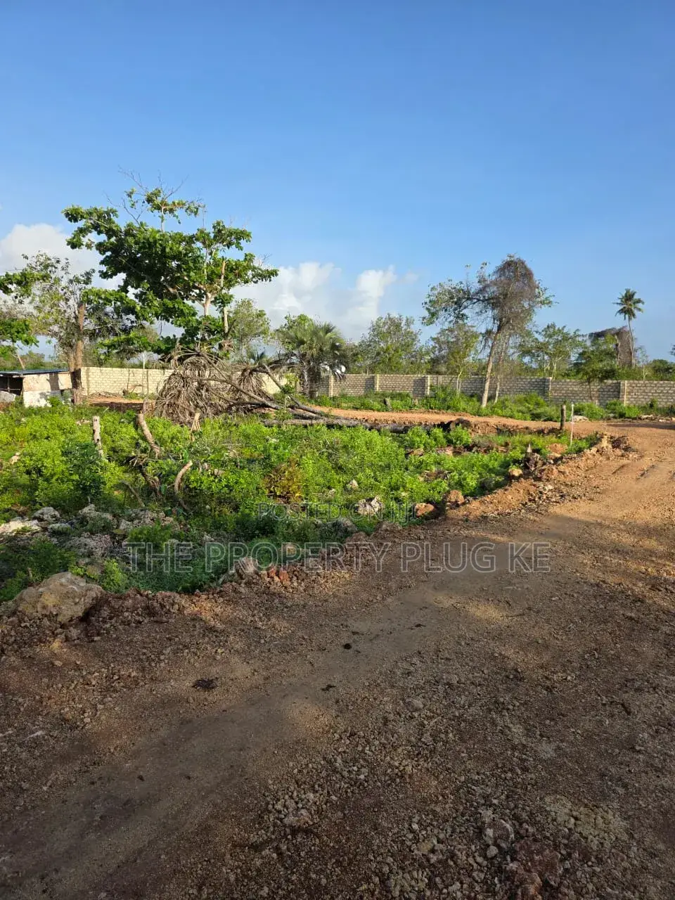 50 By 100 Plots For Sale In Diani in Diani