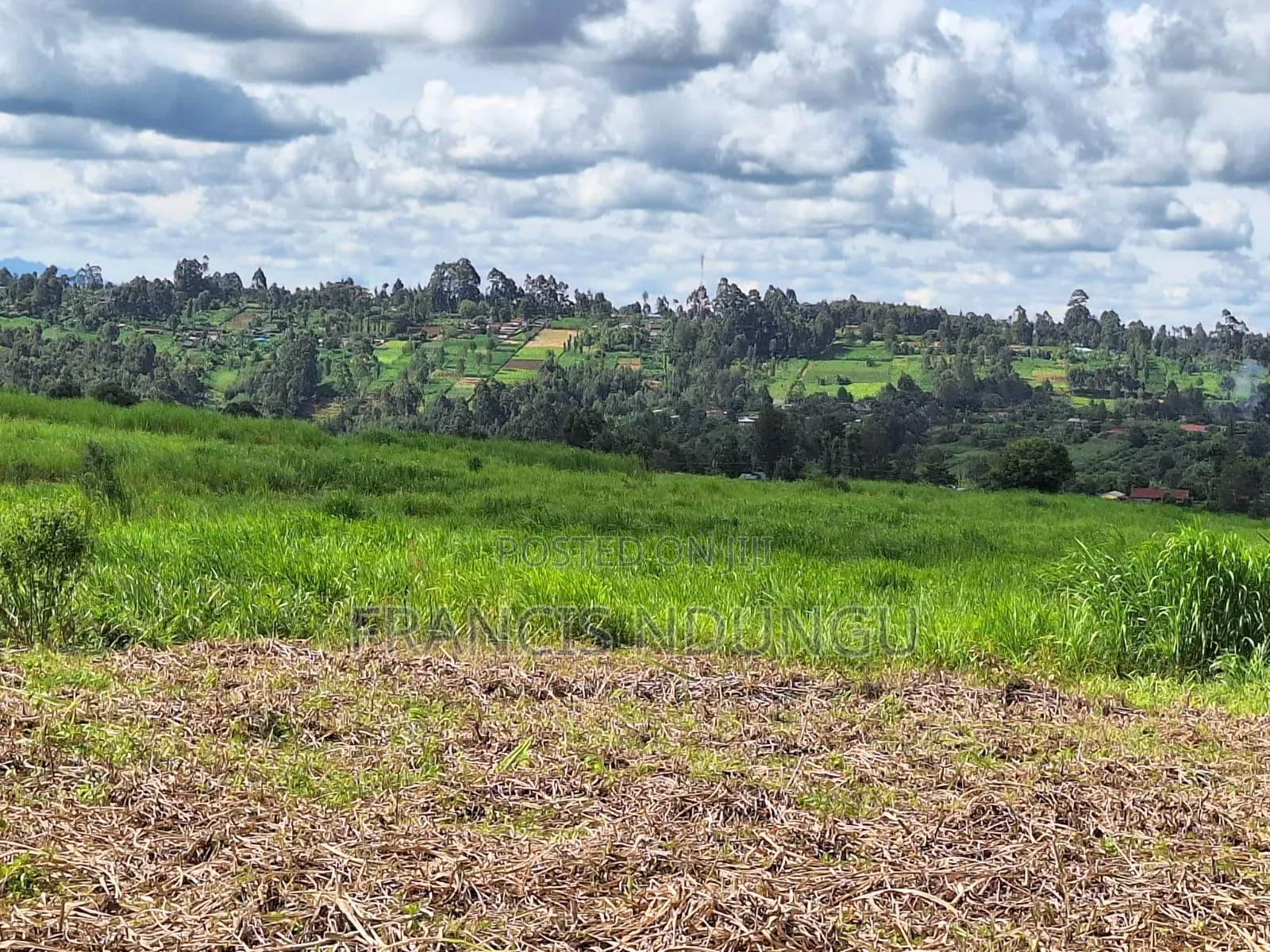 20 Acres Along Kiambu Limuru Road for Sale in Cianda