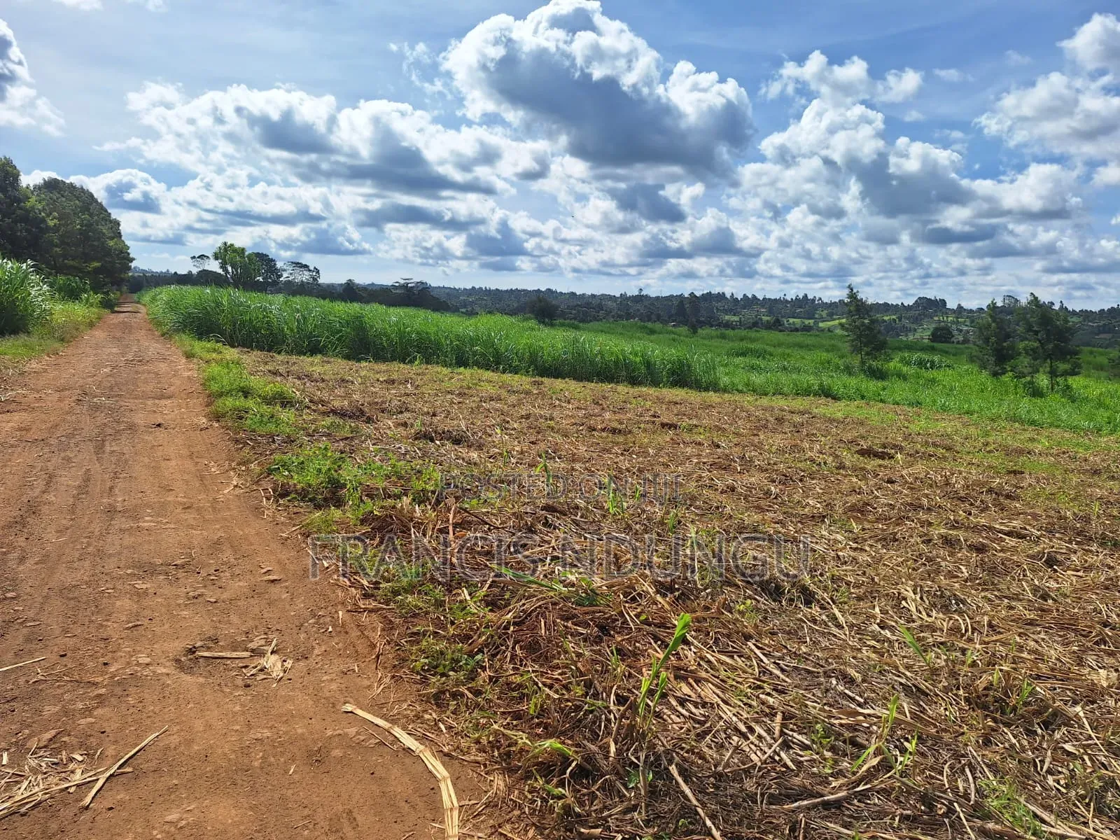 20 Acres Along Kiambu Limuru Road for Sale in Cianda