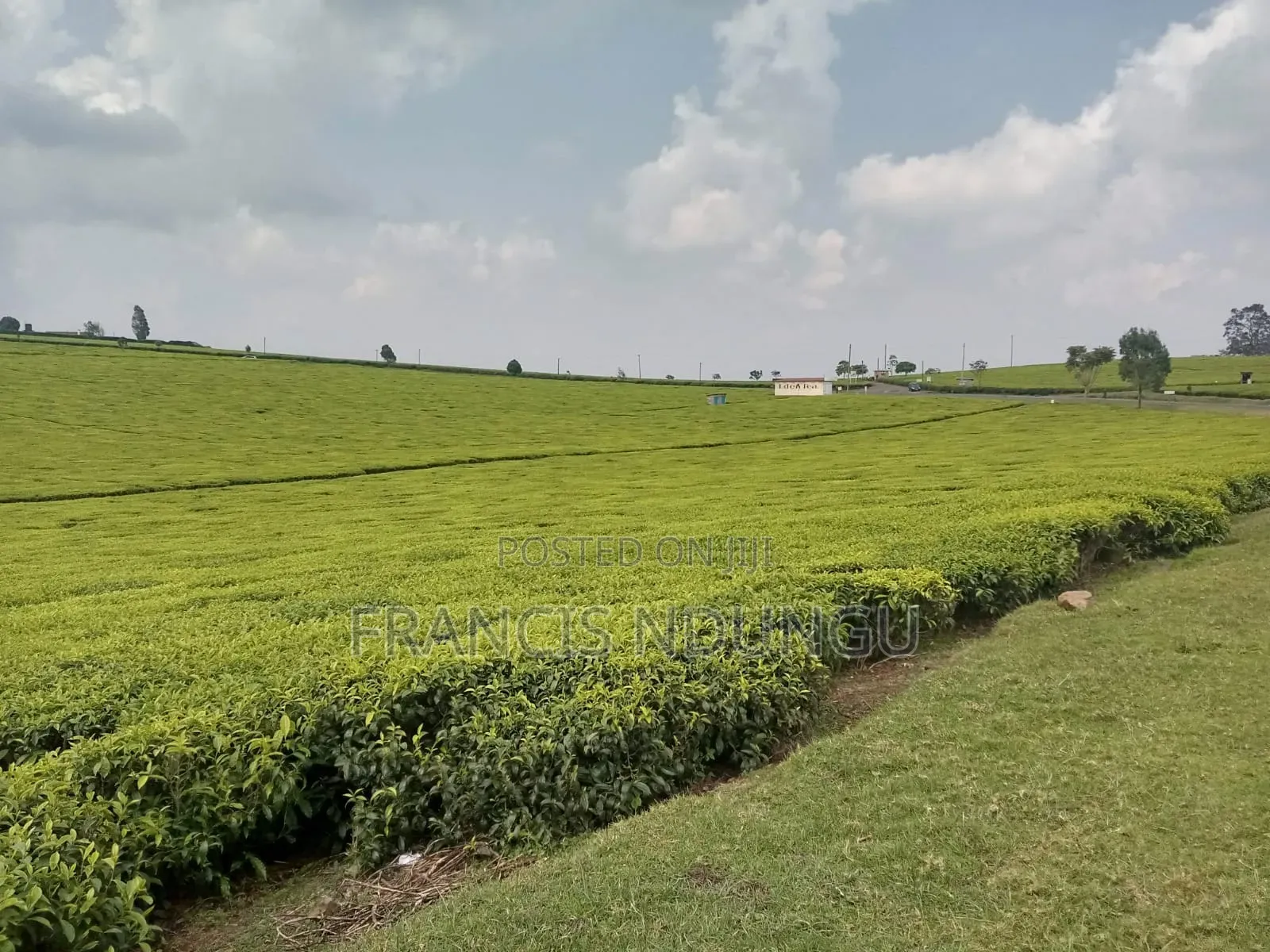 20 Acres Along Kiambu Limuru Road for Sale in Cianda