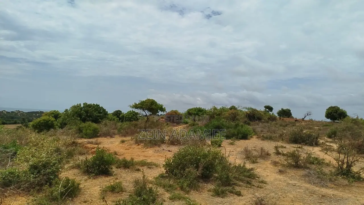 Prime Sea View Land for Sale Mambrui in Town Centre