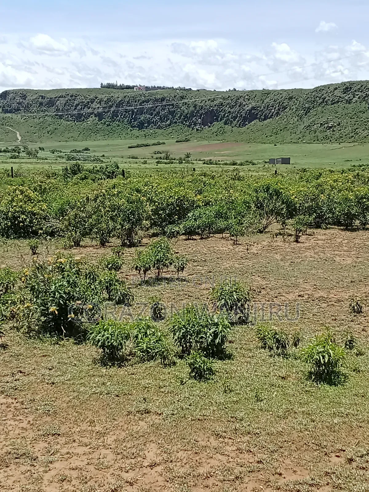 50*100plots in Gilgil in Kikopey