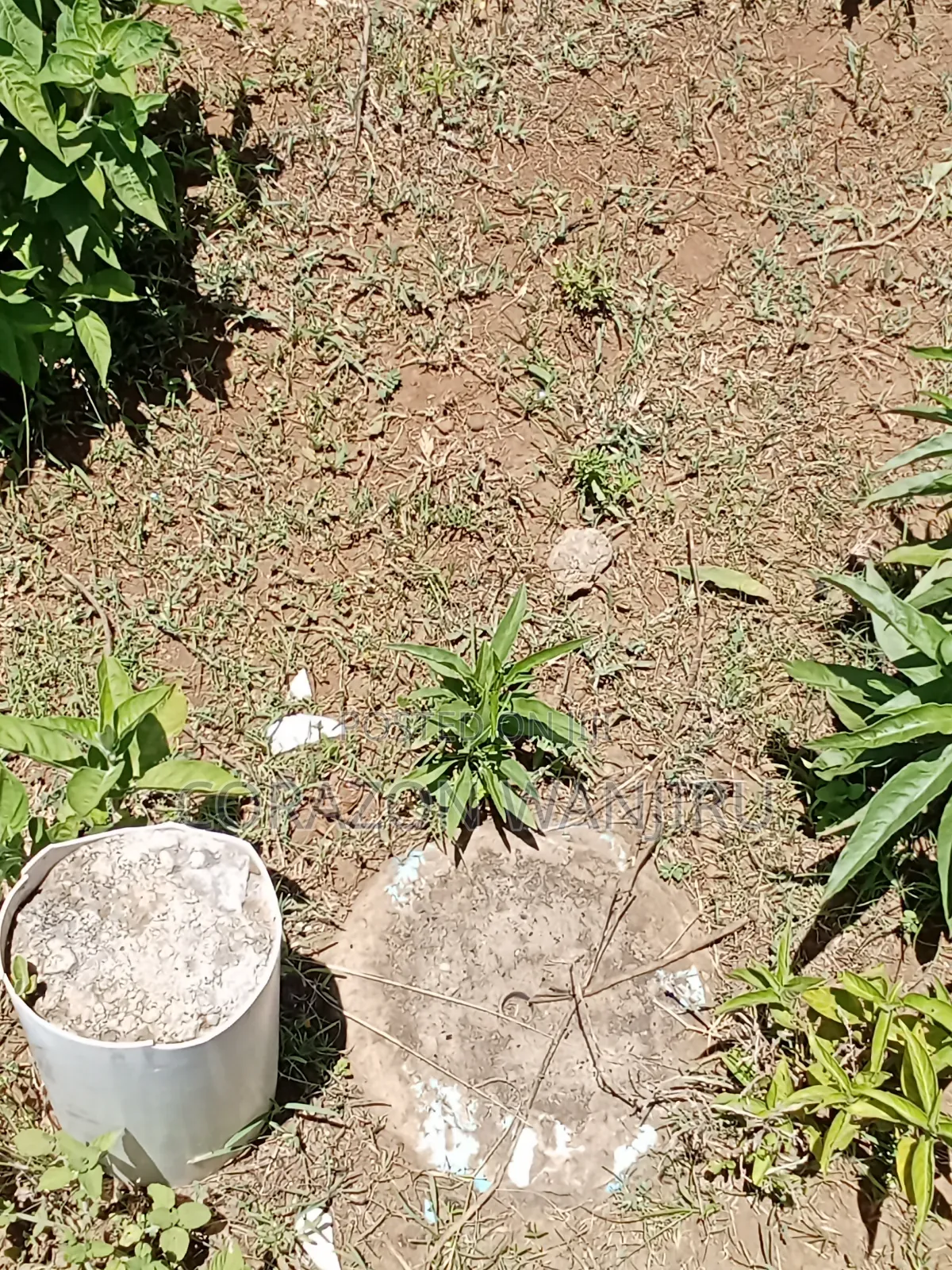 50*100plots in Gilgil in Kikopey