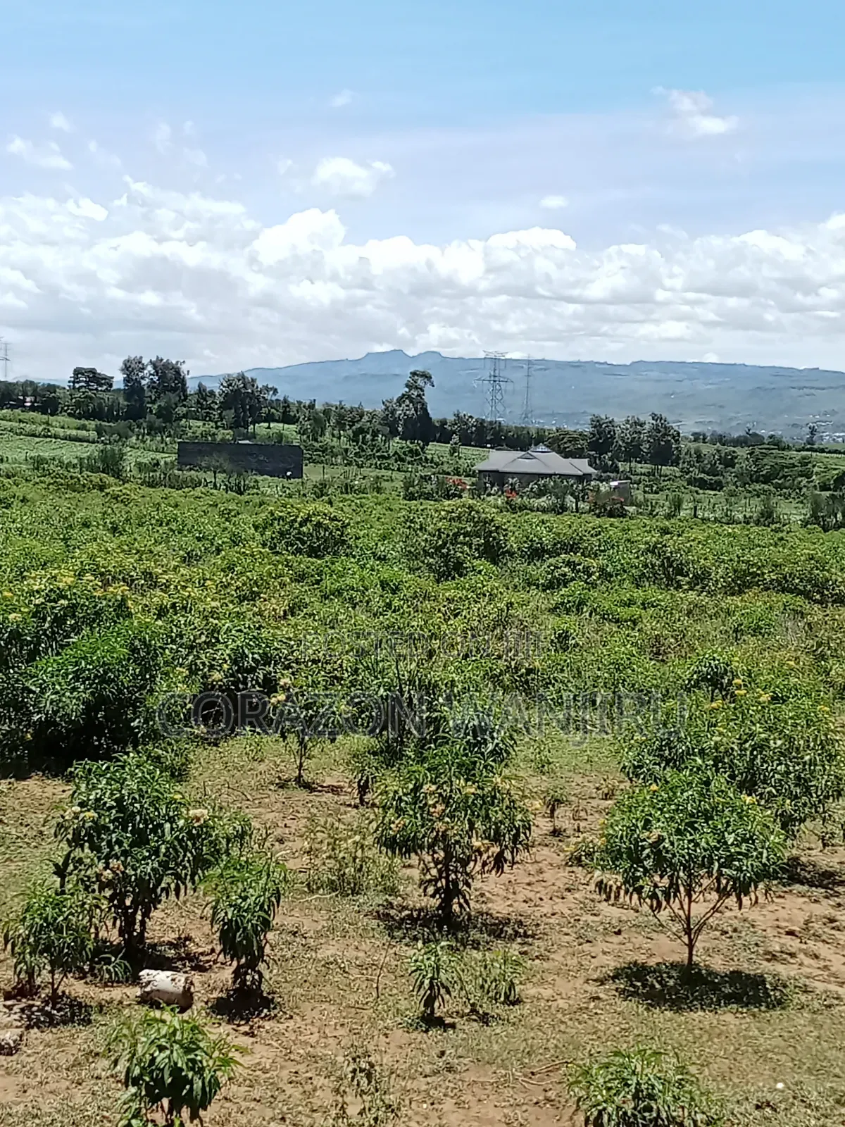 50*100plots in Gilgil in Kikopey