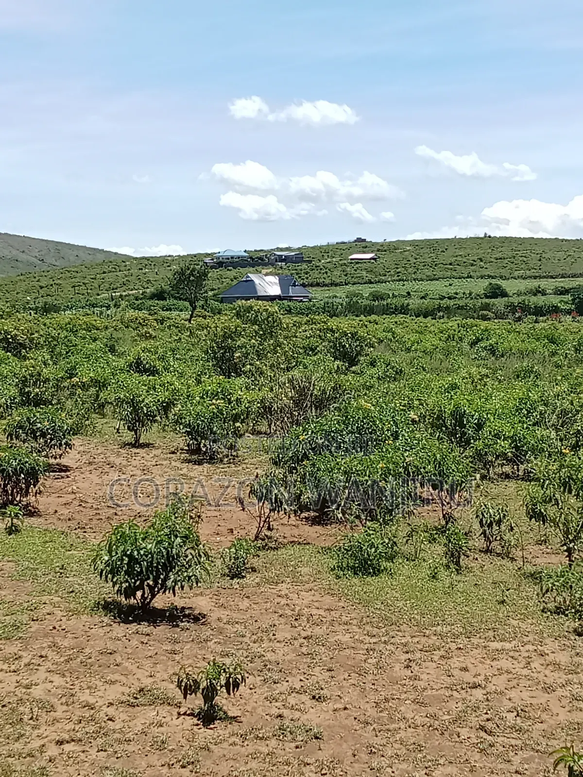 50*100plots in Gilgil in Kikopey
