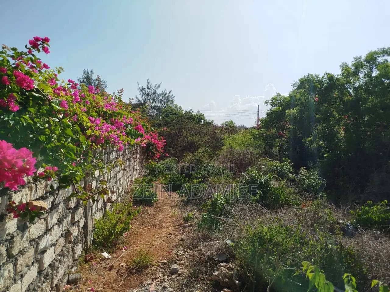 1/4 Acre Plot for Sale Malindi Casaurina in Town Centre