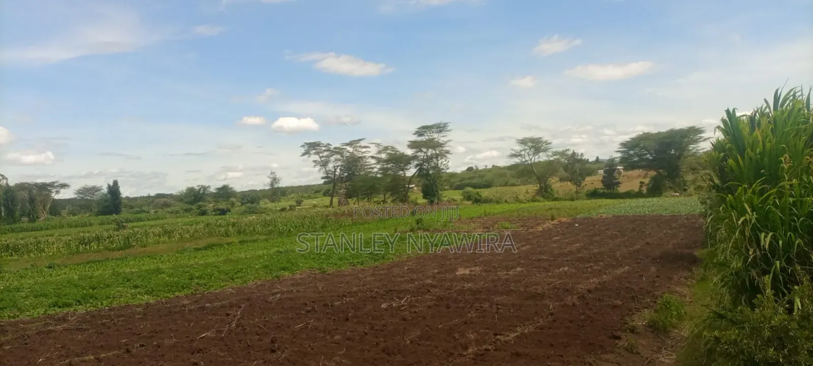 40 Acre Fronting River and Tarmac Road Nanyuki Lamuria in Nanyuki