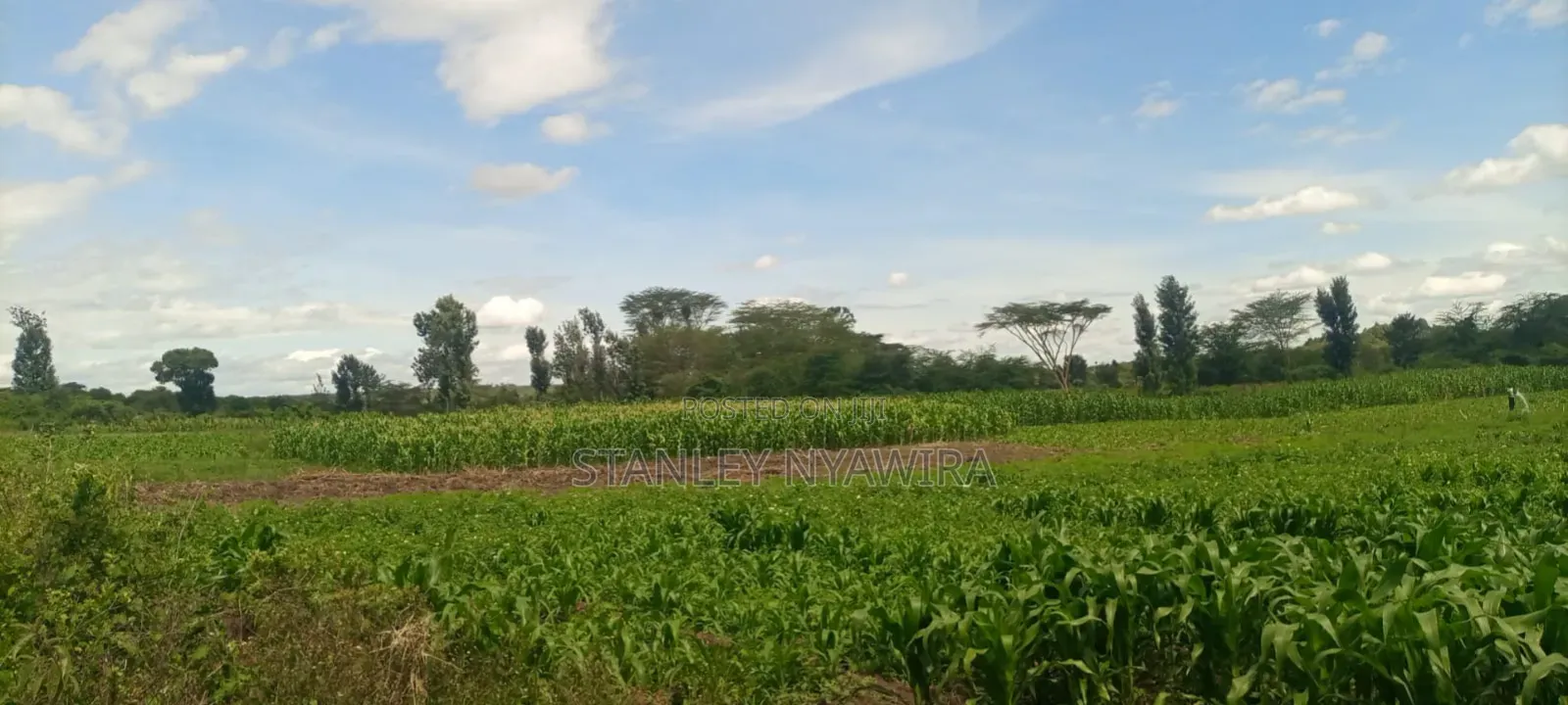 40 Acre Fronting River and Tarmac Road Nanyuki Lamuria in Nanyuki