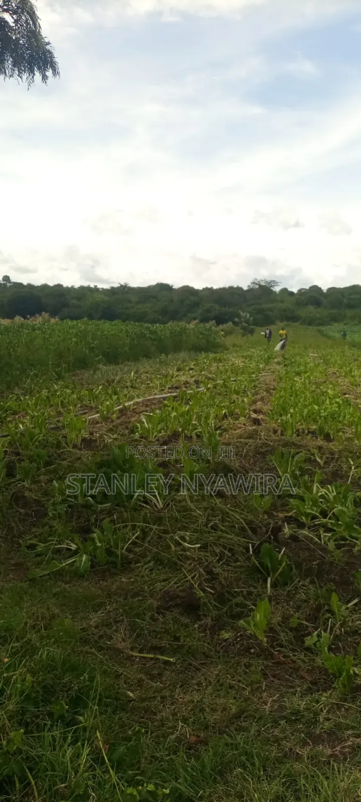 40 Acre Fronting River and Tarmac Road Nanyuki Lamuria in Nanyuki