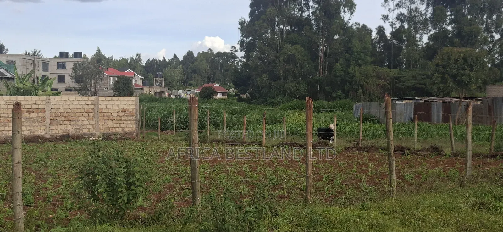 Prime 100x100 Plot for Sale – Gikambura, Kikuyu in Karai