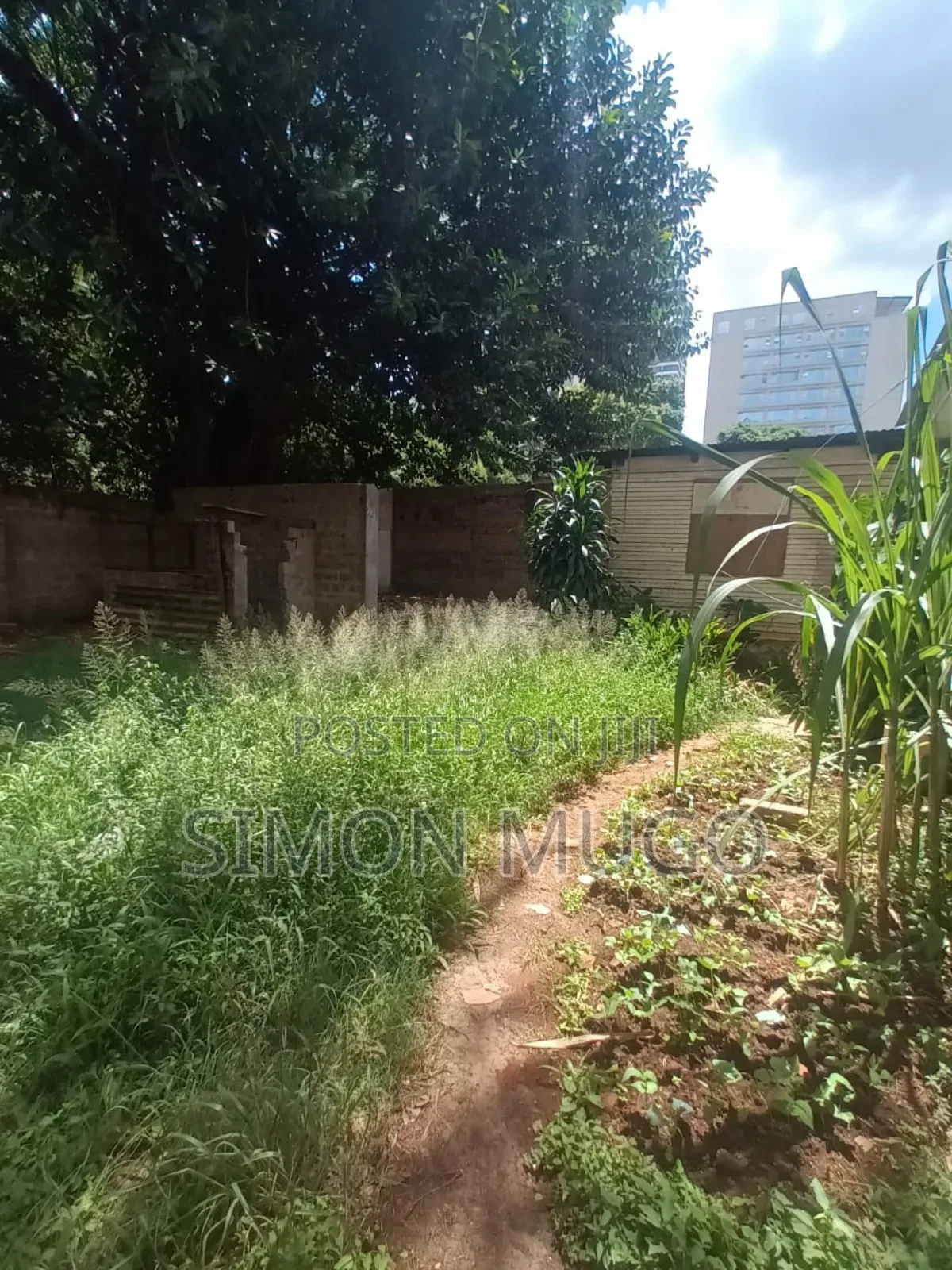 Muthithi Garden Kiambu Road Prime 1 Acre in Ruaka