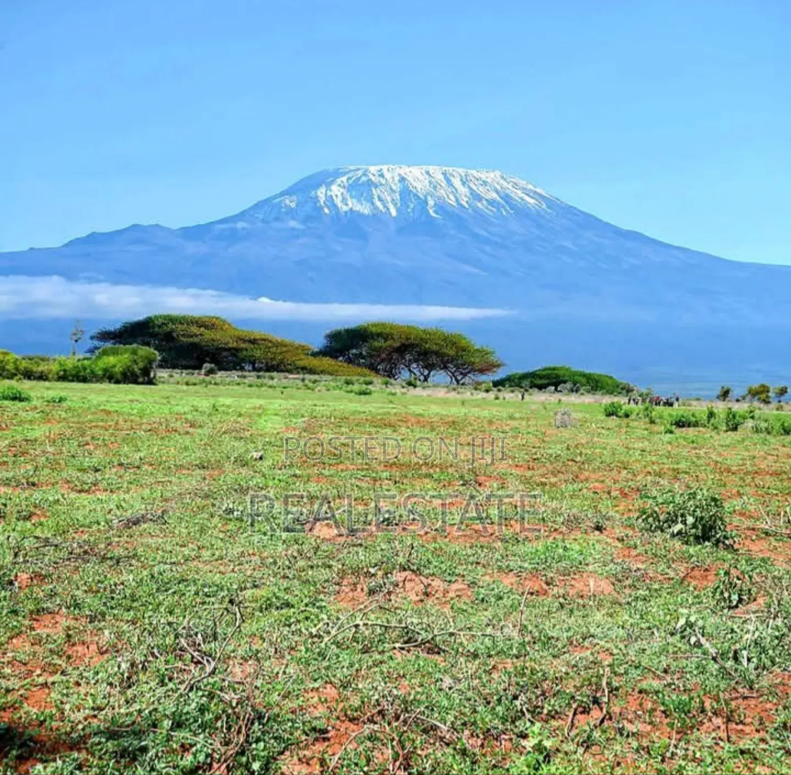 Kenneret View Plot ,Imbirikani (Loitokitok) in Loitoktok