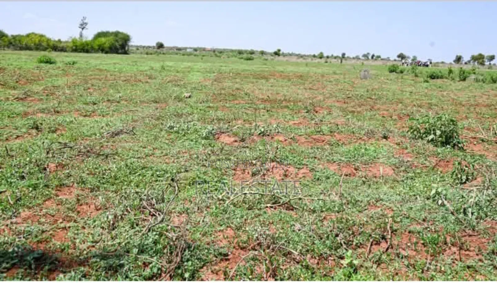 Kenneret View Plot ,Imbirikani (Loitokitok) in Loitoktok