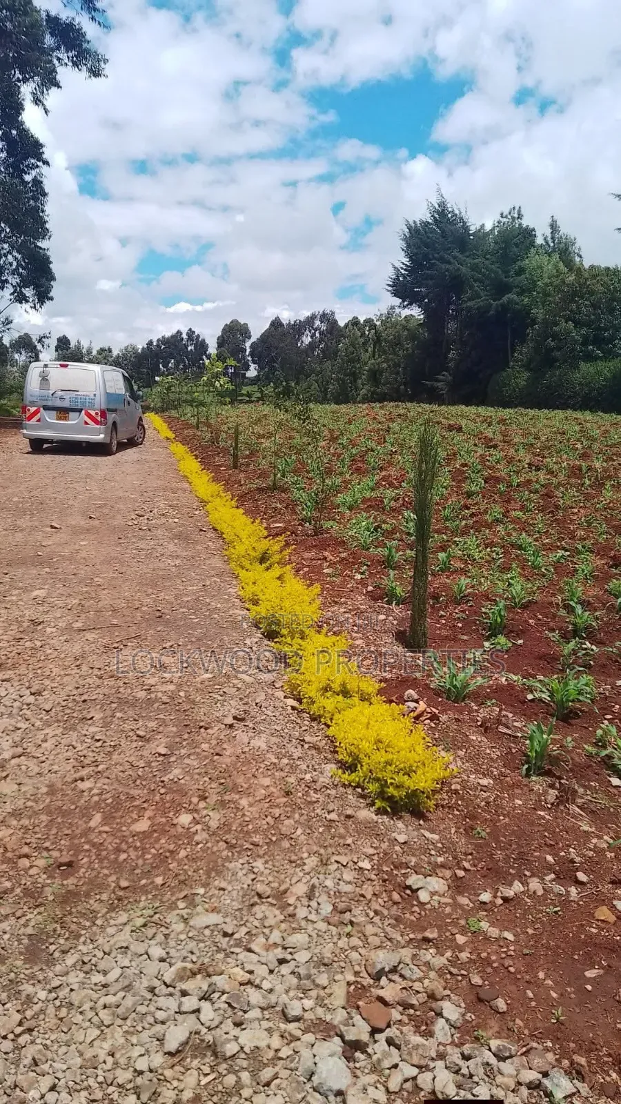 Land for Sale in Limuru