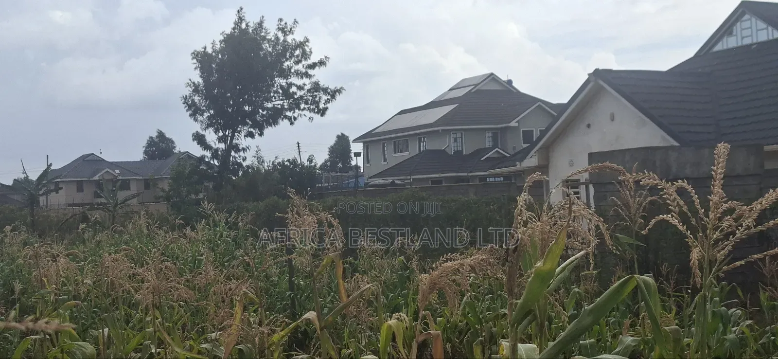 Prime Residential Plots for Sale – Kikuyu (Nairobi Ndogo Estate) in Karai