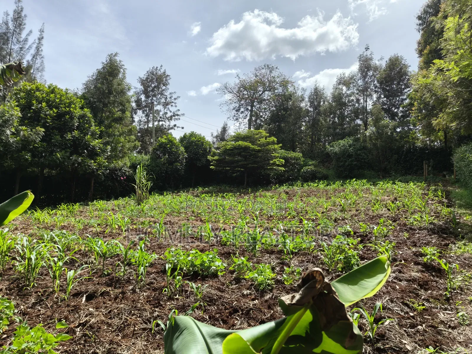 3/4 Acre Piece of Land for Sale in Maragara Road, Ngong in Ol Keri