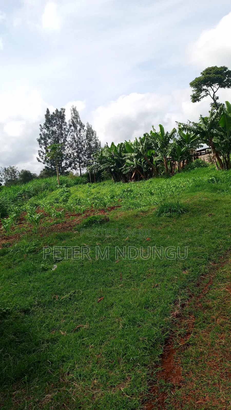 Gatundu Mutomo- Prime One Acre on Sale, Redsoil and Title in Kiamwangi
