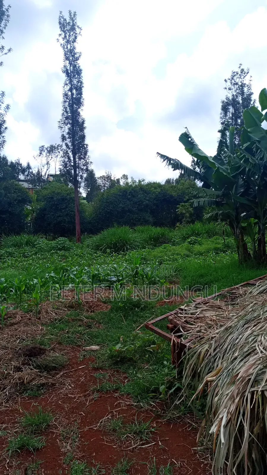 Gatundu Mutomo- Prime One Acre on Sale, Redsoil and Title in Kiamwangi