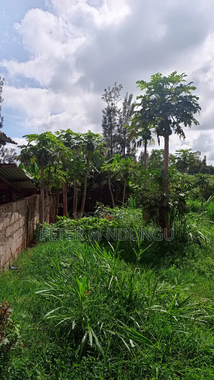 Gatundu Mutomo- Prime One Acre on Sale, Redsoil and Title in Kiamwangi