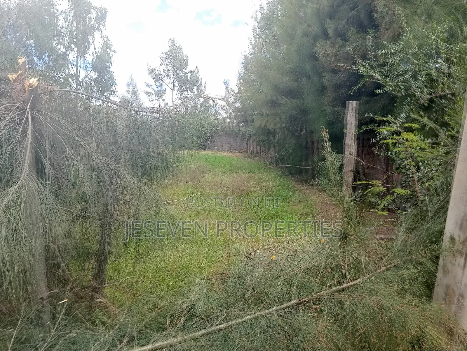 Quarter Acre Land 100*100 in Syokimau for Sale in Katani