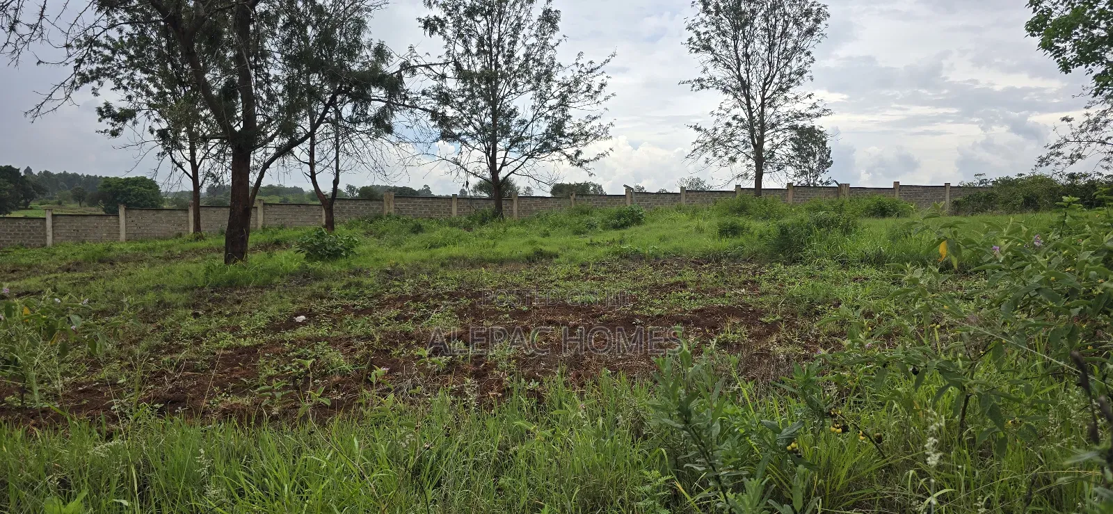 A Prime Quarter-Acre Plot Is Available for Sale in Thika Green. in Thika CBD