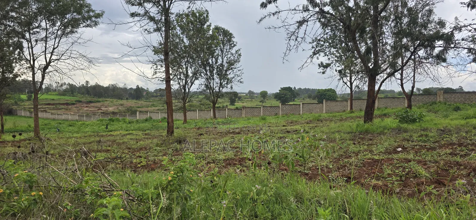 A Prime Quarter-Acre Plot Is Available for Sale in Thika Green. in Thika CBD