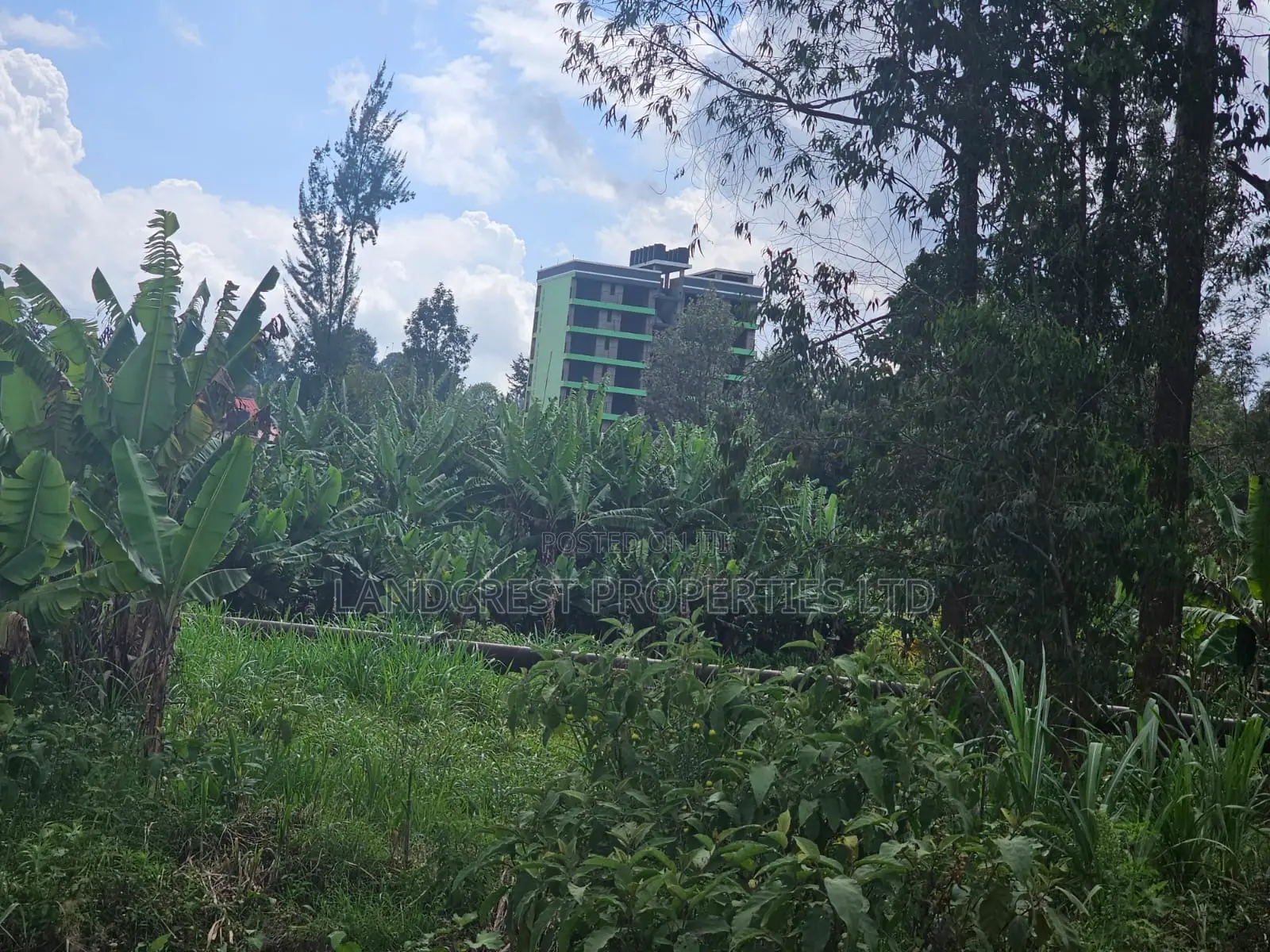 Prime 1/8 Acre Plot for Sale Ruaka, Muchatha in Muchatha