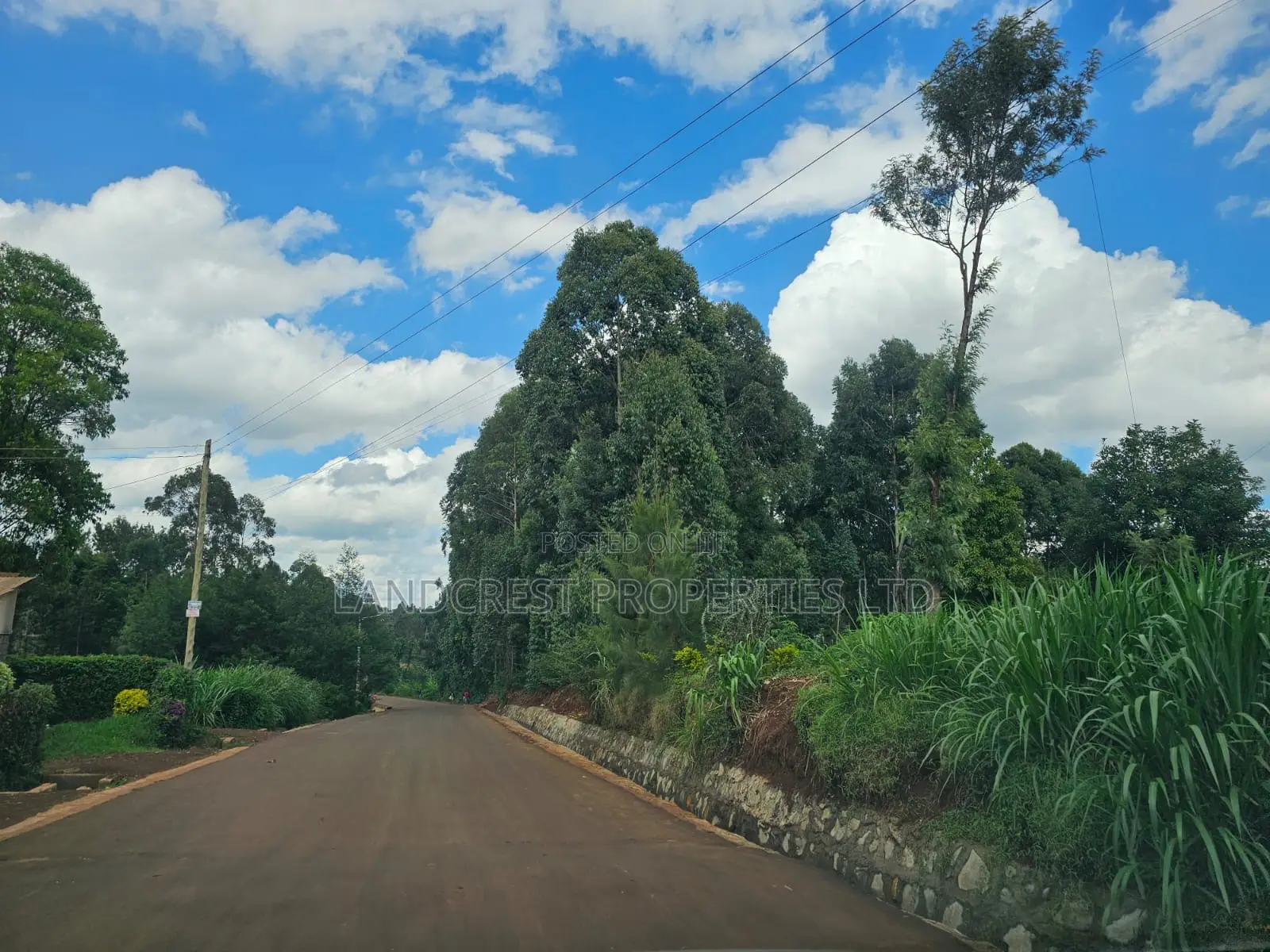 Prime 1/8 Acre Plot for Sale Ruaka, Muchatha in Muchatha