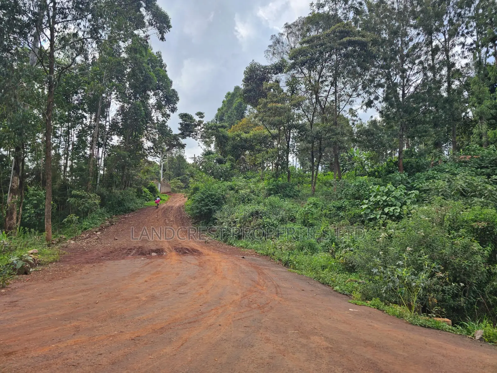Prime 1/8 Acre Plot for Sale Ruaka, Muchatha in Muchatha
