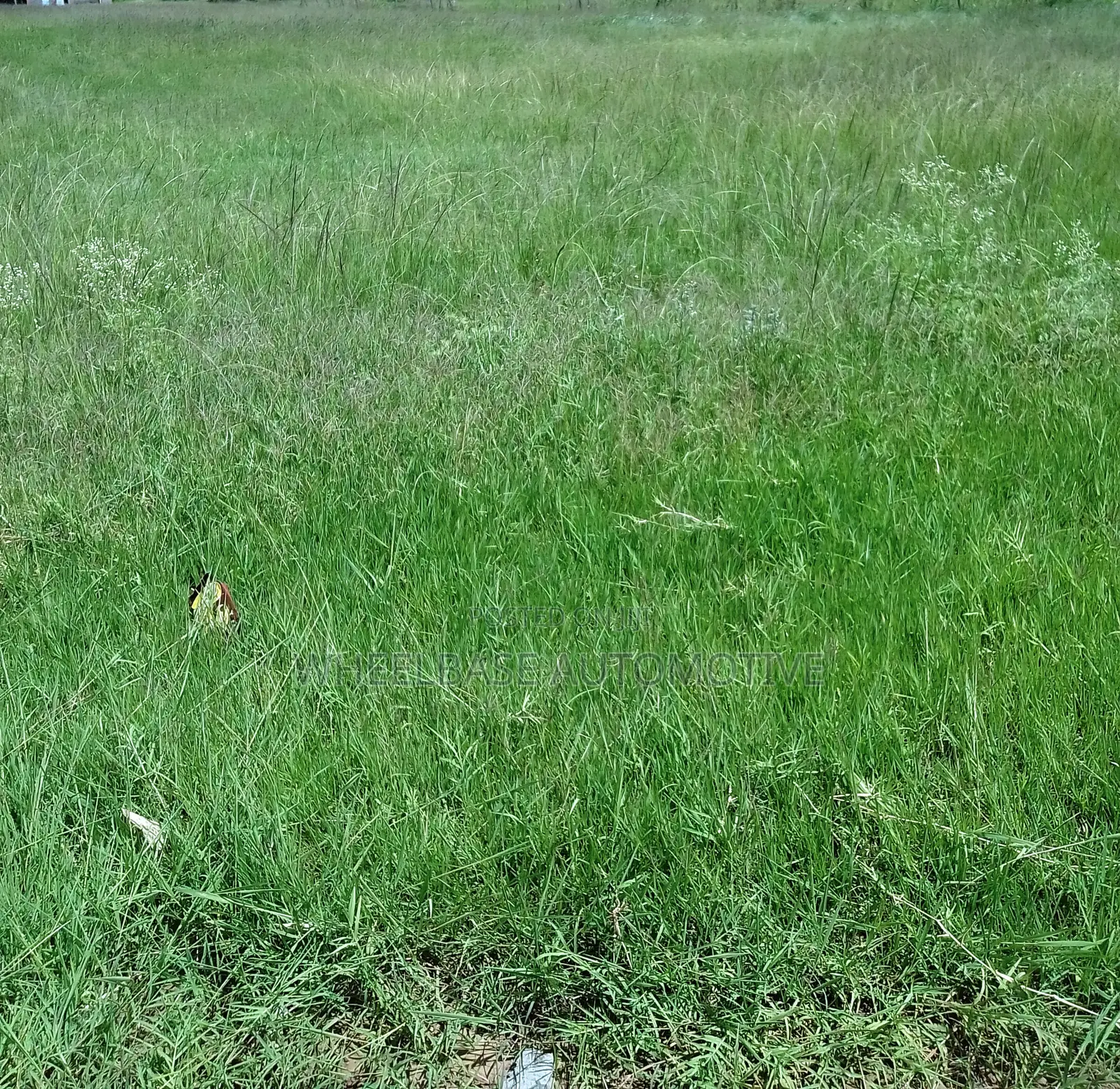 100 Acres for Sale in Kipeto Kiserian Ready for Subdivision, Farming in Kiserian